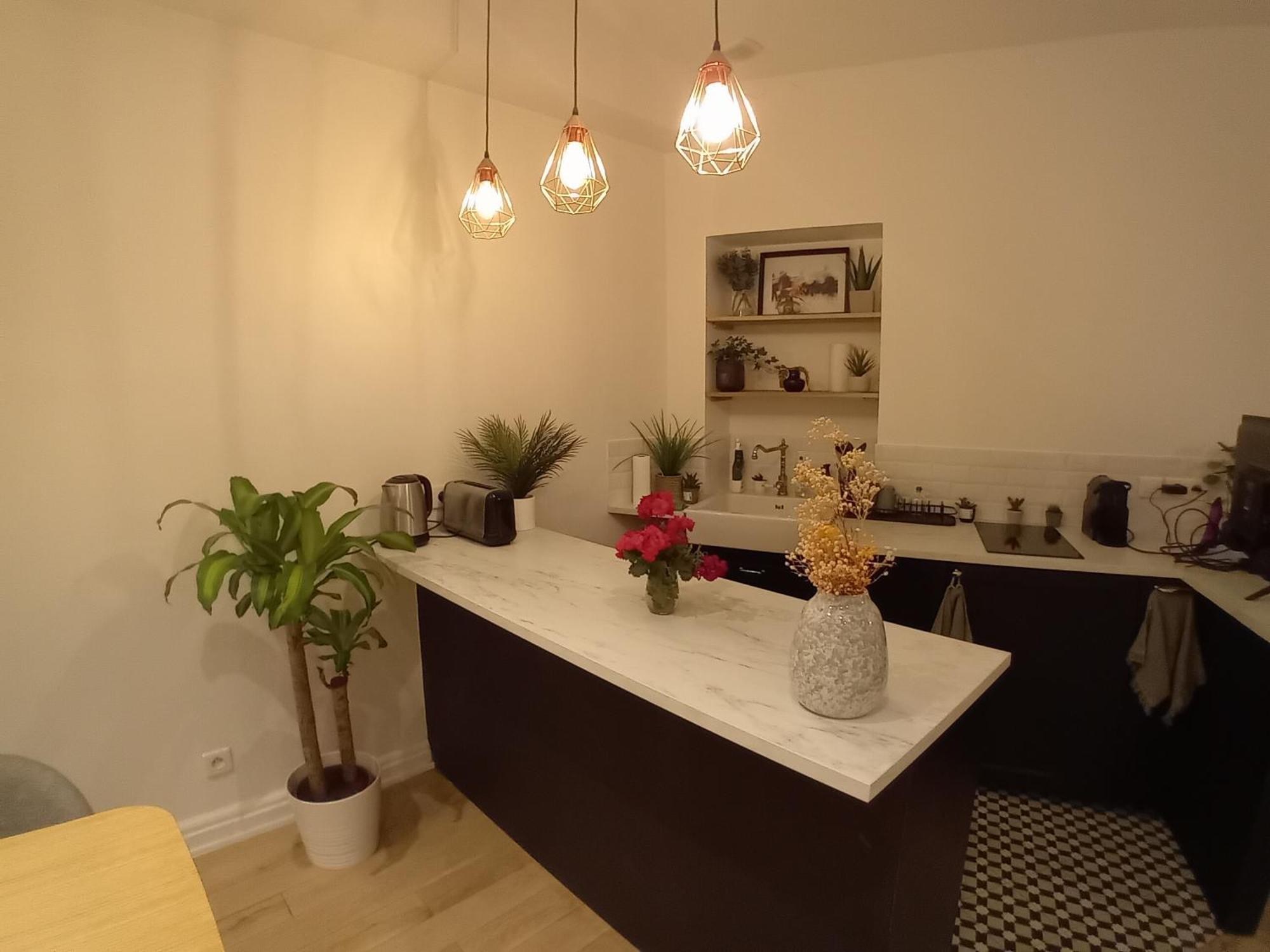 Homestay Eiffel Tour And Louvre Meusm 5 Minute , Front Metro, Gare Montparnasse *