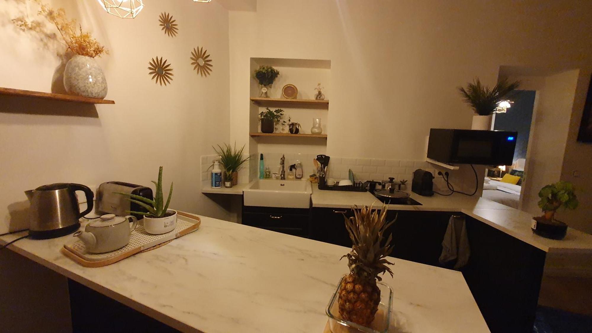 Eiffel Tour And Louvre Meusm 5 Minute , Front Metro, Gare Montparnasse Homestay Paris